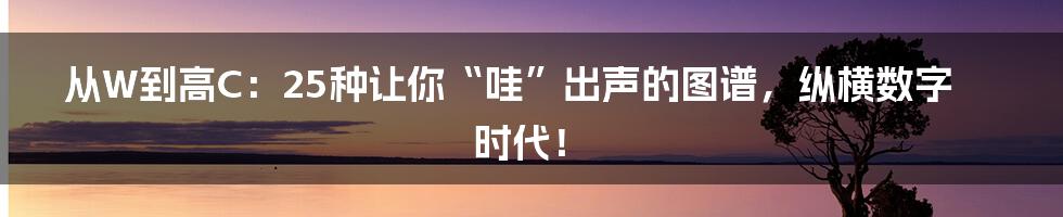 从W到高C：25种让你“哇”出声的图谱，纵横数字时代！