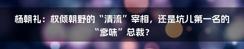 杨朝礼:权倾朝野的“清流”宰相,还是坑儿第一名的“爹味”总裁?