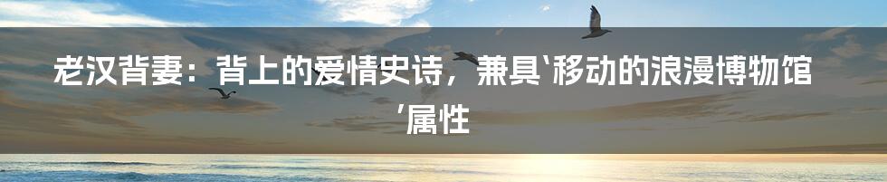 老汉背妻：背上的爱情史诗，兼具‘移动的浪漫博物馆’属性