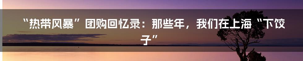 “热带风暴”团购回忆录：那些年，我们在上海“下饺子”
