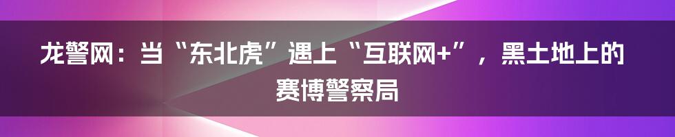 龙警网：当“东北虎”遇上“互联网+”，黑土地上的赛博警察局