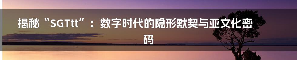 揭秘“SGTtt”：数字时代的隐形默契与亚文化密码