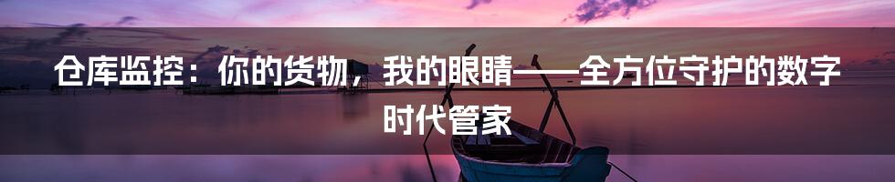 仓库监控：你的货物，我的眼睛——全方位守护的数字时代管家