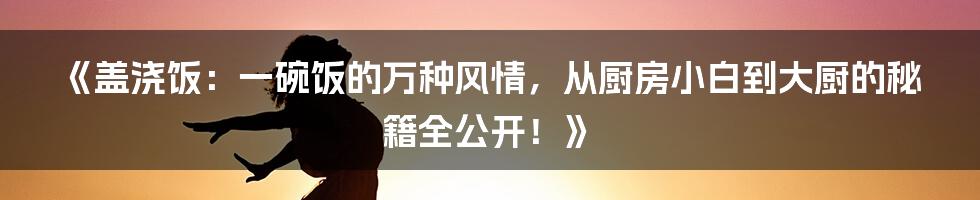 《盖浇饭：一碗饭的万种风情，从厨房小白到大厨的秘籍全公开！》