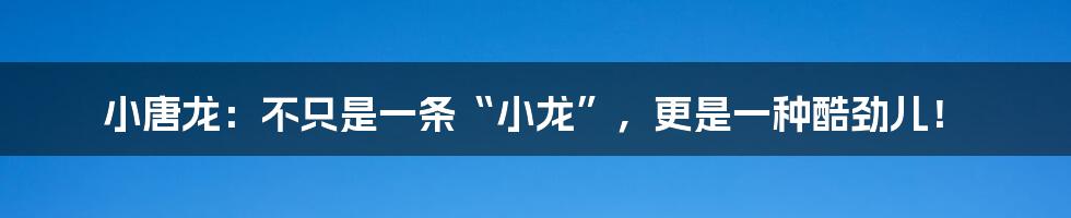 小唐龙：不只是一条“小龙”，更是一种酷劲儿！