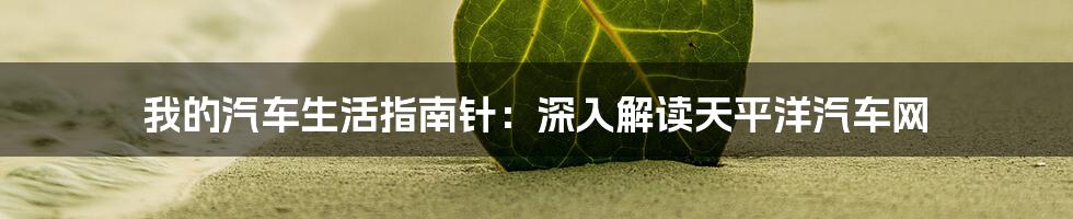 我的汽车生活指南针：深入解读天平洋汽车网