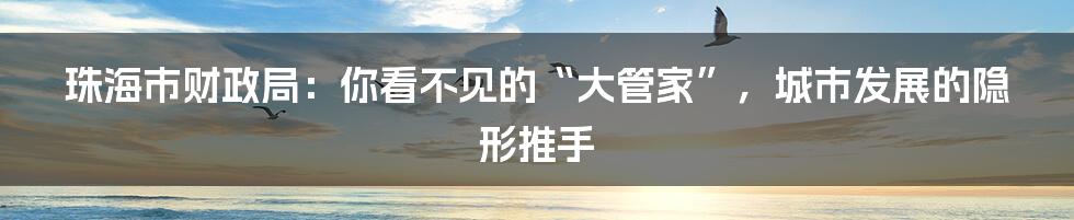 珠海市财政局：你看不见的“大管家”，城市发展的隐形推手