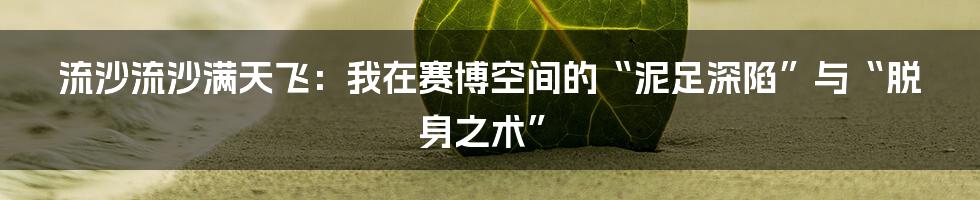 流沙流沙满天飞：我在赛博空间的“泥足深陷”与“脱身之术”