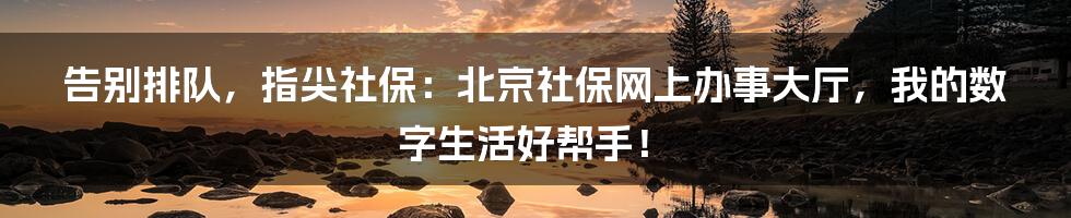 告别排队，指尖社保：北京社保网上办事大厅，我的数字生活好帮手！