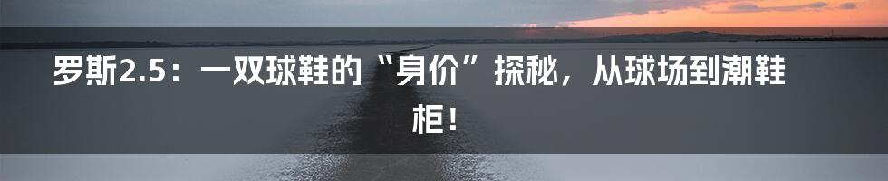 罗斯2.5：一双球鞋的“身价”探秘，从球场到潮鞋柜！