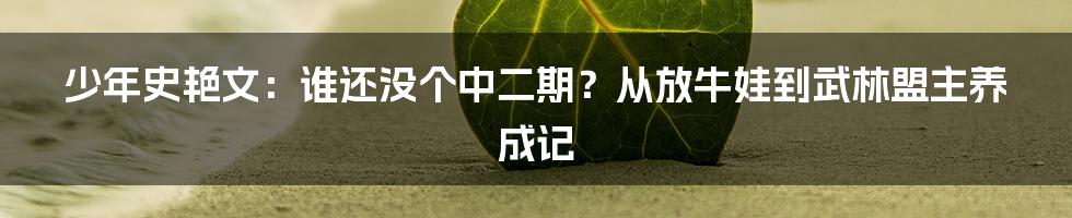 少年史艳文：谁还没个中二期？从放牛娃到武林盟主养成记