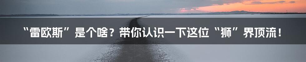 “雷欧斯”是个啥？带你认识一下这位“狮”界顶流！