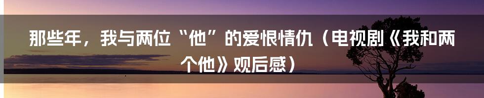 那些年，我与两位“他”的爱恨情仇（电视剧《我和两个他》观后感）
