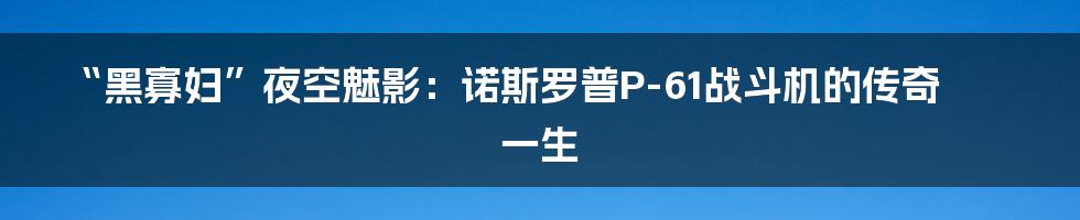 “黑寡妇”夜空魅影：诺斯罗普P-61战斗机的传奇一生