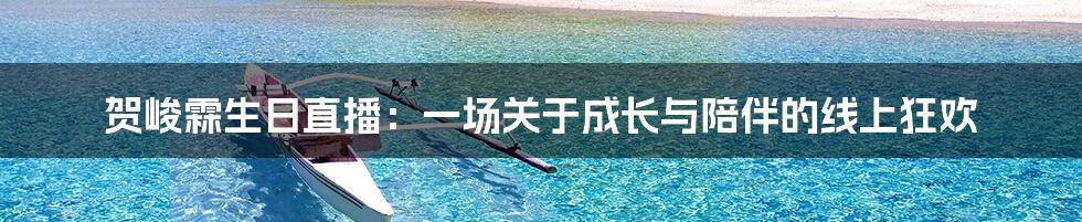 贺峻霖生日直播：一场关于成长与陪伴的线上狂欢