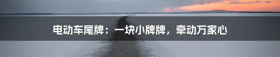 电动车尾牌：一块小牌牌，牵动万家心