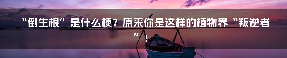 “倒生根”是什么梗？原来你是这样的植物界“叛逆者”！