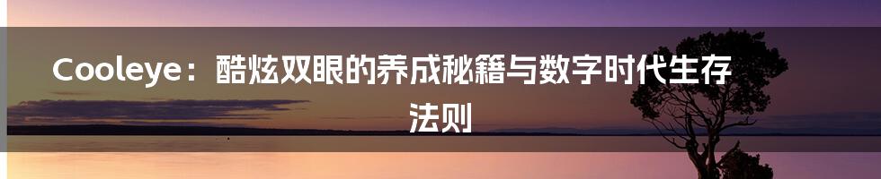 Cooleye：酷炫双眼的养成秘籍与数字时代生存法则