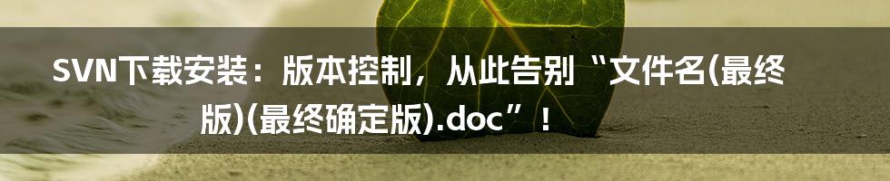 SVN下载安装：版本控制，从此告别“文件名(最终版)(最终确定版).doc”！