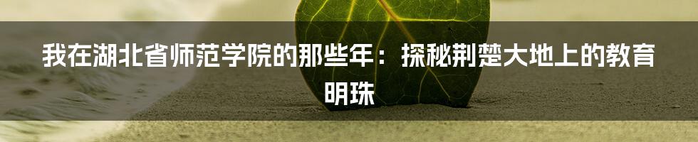 我在湖北省师范学院的那些年：探秘荆楚大地上的教育明珠