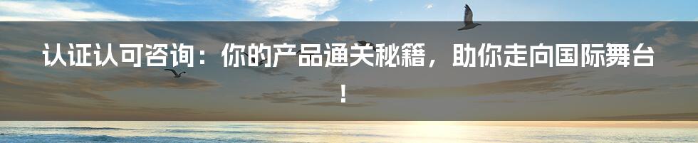 认证认可咨询：你的产品通关秘籍，助你走向国际舞台！