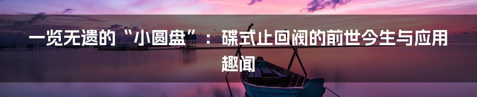 一览无遗的“小圆盘”：碟式止回阀的前世今生与应用趣闻