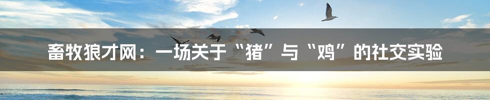 畜牧狼才网：一场关于“猪”与“鸡”的社交实验