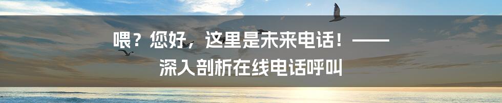 喂？您好，这里是未来电话！—— 深入剖析在线电话呼叫