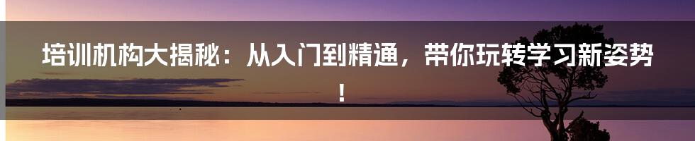 培训机构大揭秘：从入门到精通，带你玩转学习新姿势！