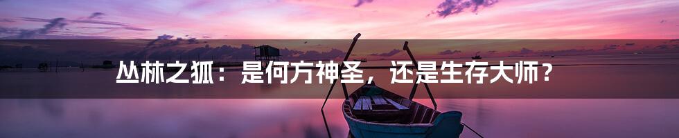 丛林之狐：是何方神圣，还是生存大师？