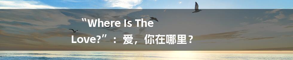 “Where Is The Love?”：爱，你在哪里？