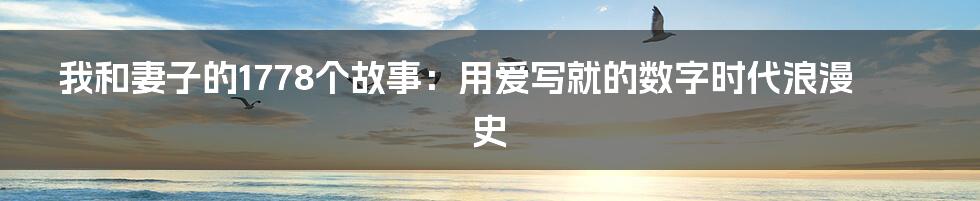我和妻子的1778个故事：用爱写就的数字时代浪漫史