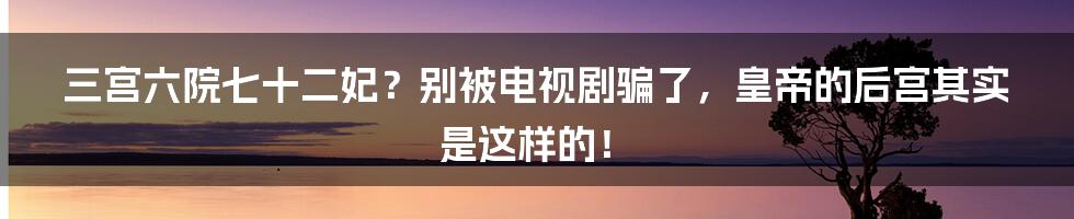 三宫六院七十二妃？别被电视剧骗了，皇帝的后宫其实是这样的！
