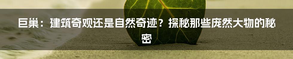 巨巢：建筑奇观还是自然奇迹？探秘那些庞然大物的秘密