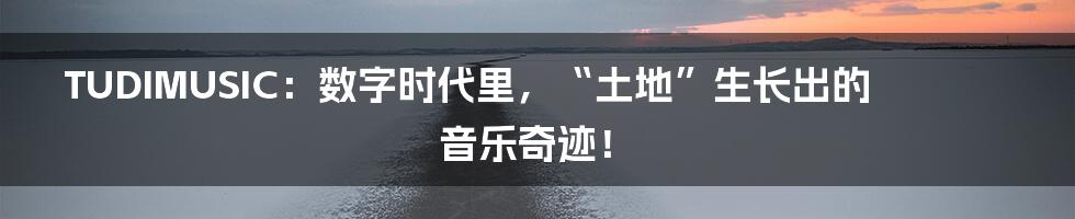 TUDIMUSIC：数字时代里，“土地”生长出的音乐奇迹！