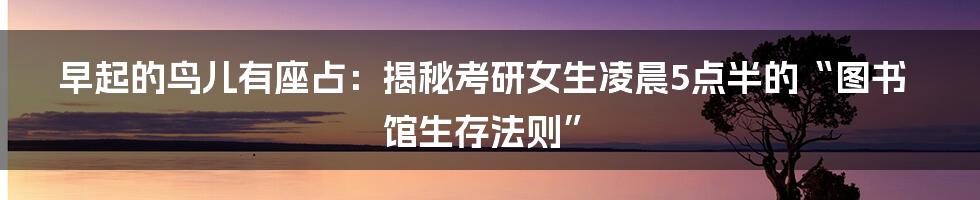 早起的鸟儿有座占：揭秘考研女生凌晨5点半的“图书馆生存法则”