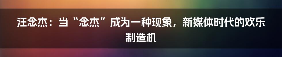 汪念杰：当“念杰”成为一种现象，新媒体时代的欢乐制造机