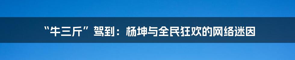“牛三斤”驾到：杨坤与全民狂欢的网络迷因