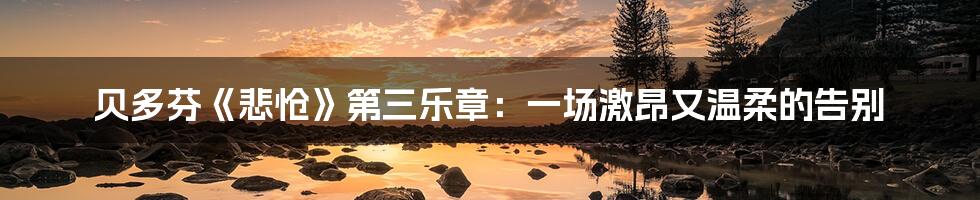 贝多芬《悲怆》第三乐章：一场激昂又温柔的告别