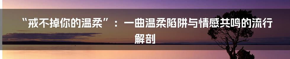 “戒不掉你的温柔”:一曲温柔陷阱与情感共鸣的流行解剖