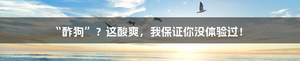 “酢狗”？这酸爽，我保证你没体验过！