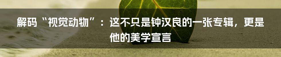 解码“视觉动物”：这不只是钟汉良的一张专辑，更是他的美学宣言
