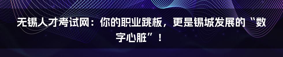 无锡人才考试网:你的职业跳板,更是锡城发展的“数字心脏”!