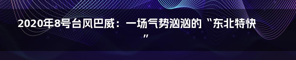 2020年8号台风巴威:一场气势汹汹的“东北特快”