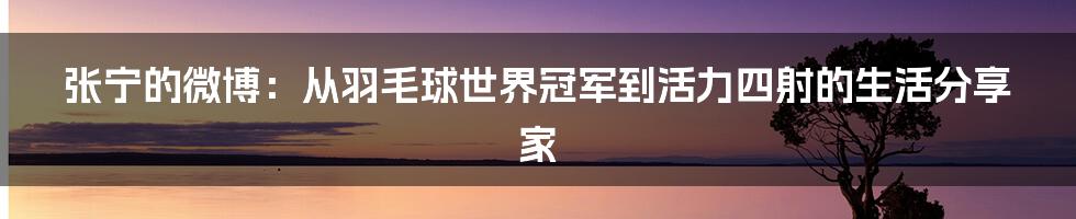 张宁的微博:从羽毛球世界冠军到活力四射的生活分享家