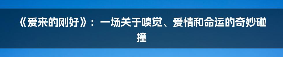 《爱来的刚好》:一场关于嗅觉、爱情和命运的奇妙碰撞