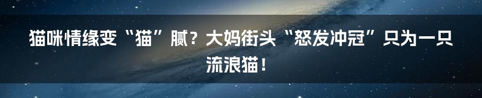 猫咪情缘变“猫”腻?大妈街头“怒发冲冠”只为一只流浪猫!