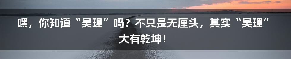 嘿,你知道“吴理”吗?不只是无厘头,其实“吴理”大有乾坤!