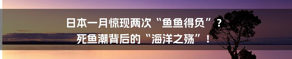 日本一月惊现两次“鱼鱼得负”? 死鱼潮背后的“海洋之殇”!