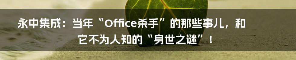 永中集成:当年“Office杀手”的那些事儿,和它不为人知的“身世之谜”!